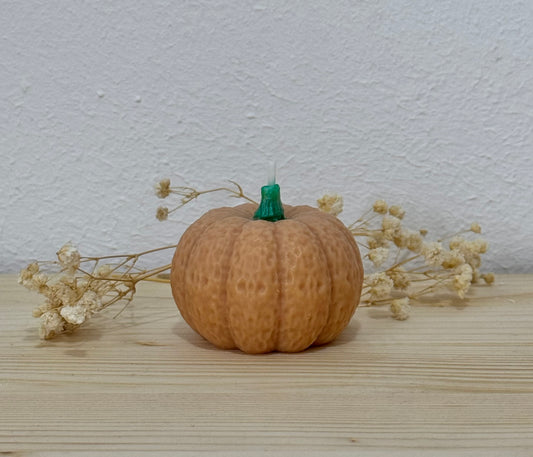 Candela Zucca